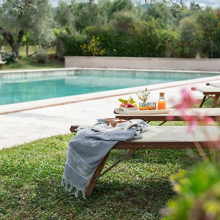 Agriturismo Tra Gli Ulivi, Chiappini Villa Bolgheri Exterior photo