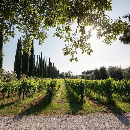 Agriturismo Tra Gli Ulivi, Chiappini Villa Bolgheri Exterior photo