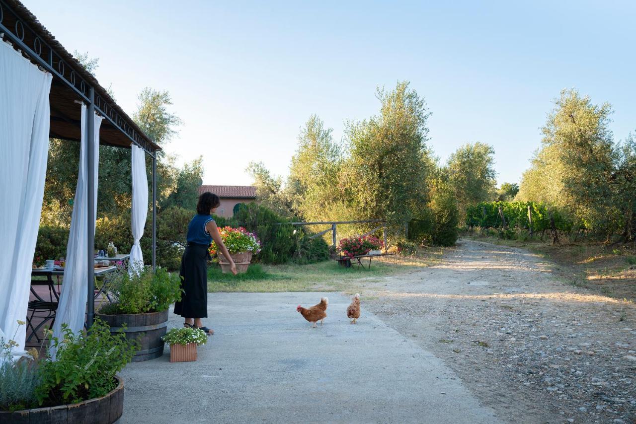 Agriturismo Tra Gli Ulivi, Chiappini Villa Bolgheri Exterior photo