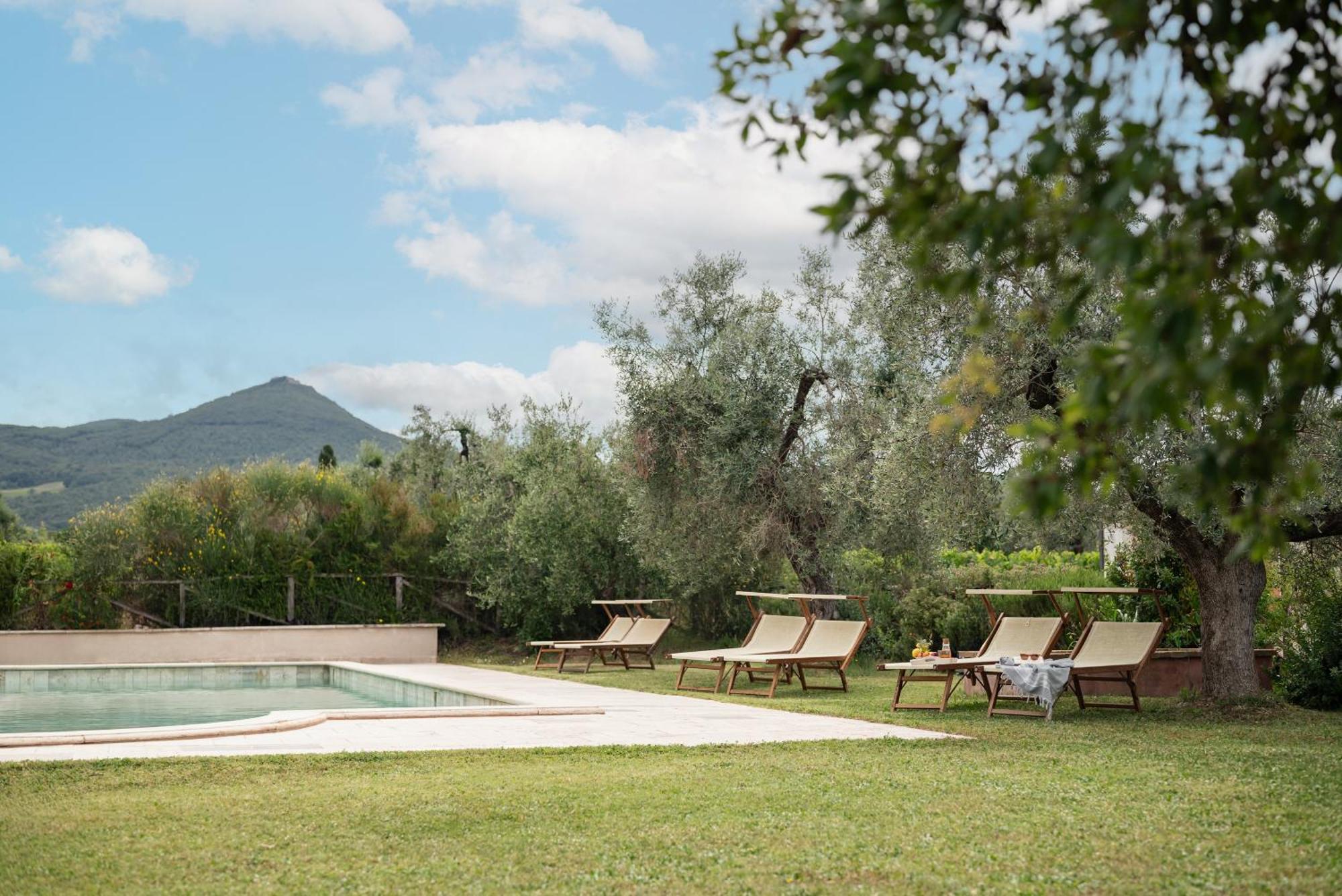 Agriturismo Tra Gli Ulivi, Chiappini Villa Bolgheri Exterior photo