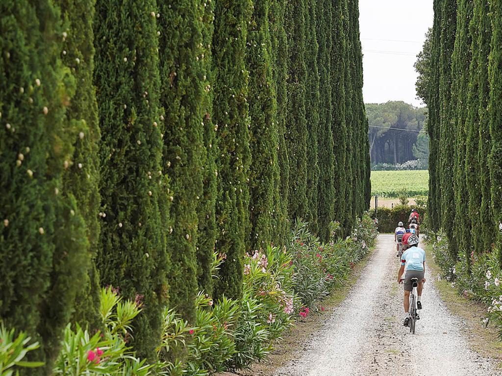 Agriturismo Tra Gli Ulivi, Chiappini Villa Bolgheri Exterior photo