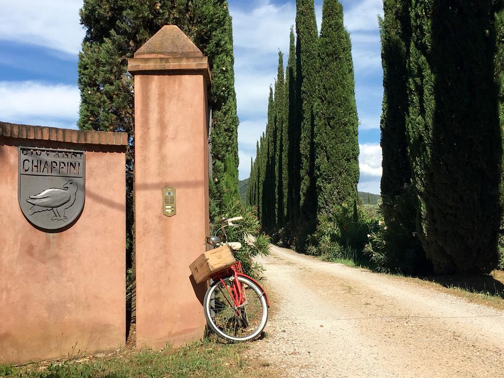 Agriturismo Tra Gli Ulivi, Chiappini Villa Bolgheri Exterior photo