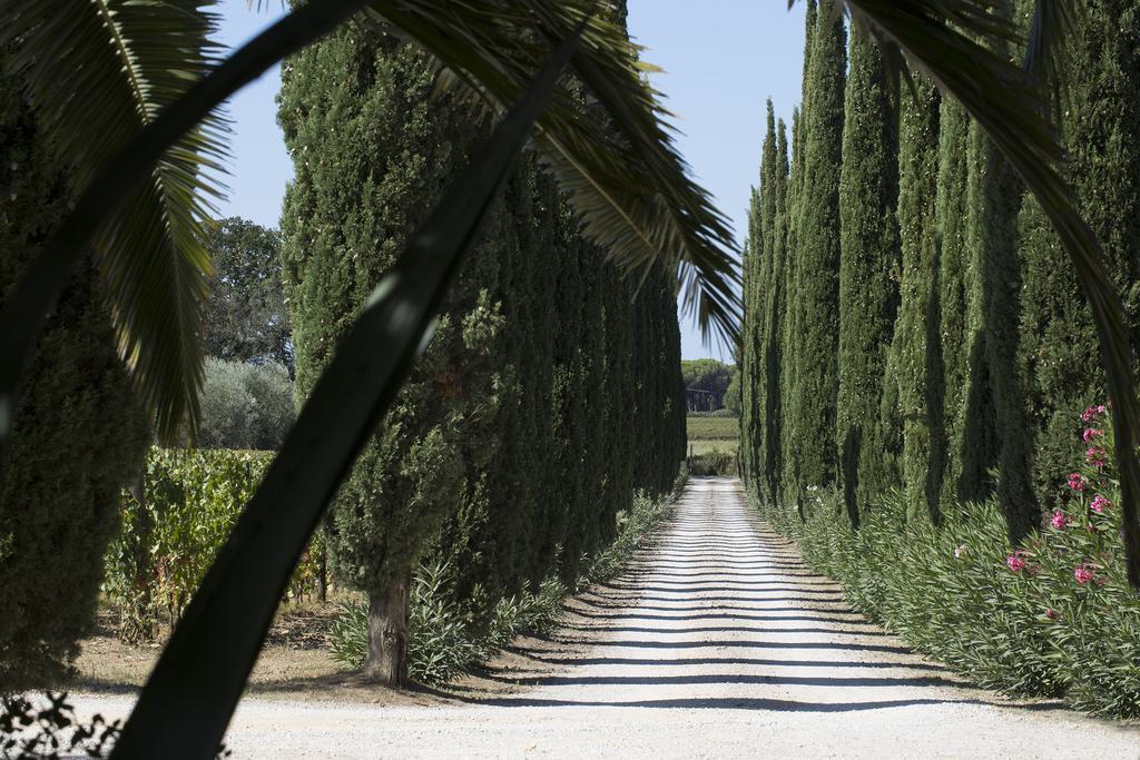 Agriturismo Tra Gli Ulivi, Chiappini Villa Bolgheri Exterior photo