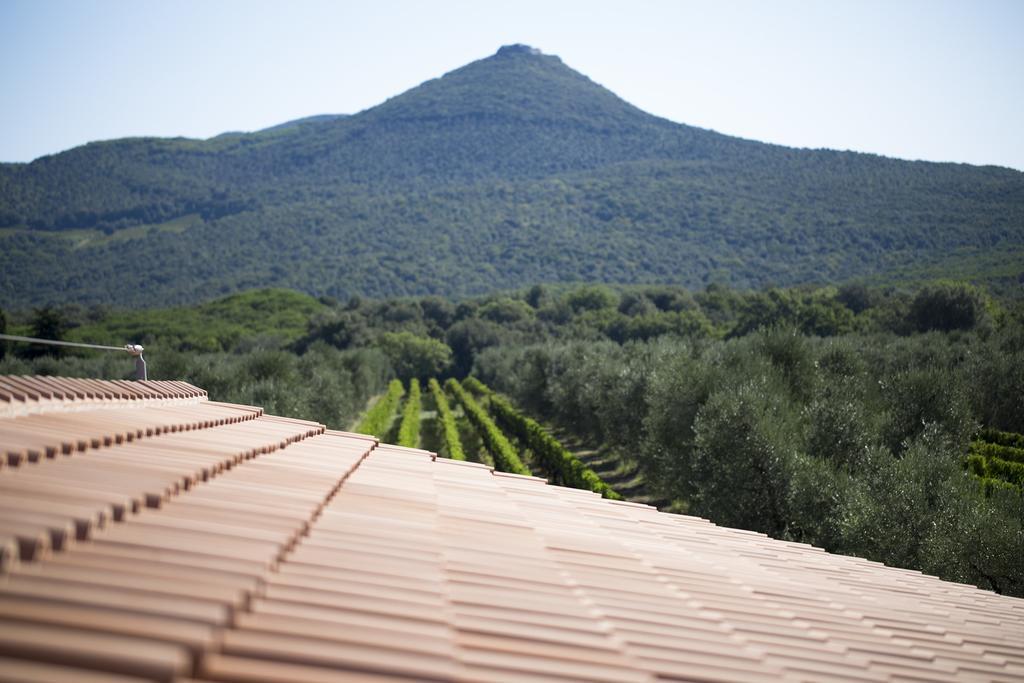 Agriturismo Tra Gli Ulivi, Chiappini Villa Bolgheri Exterior photo