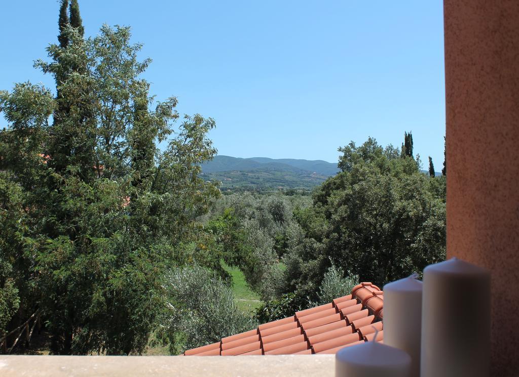 Agriturismo Tra Gli Ulivi, Chiappini Villa Bolgheri Exterior photo